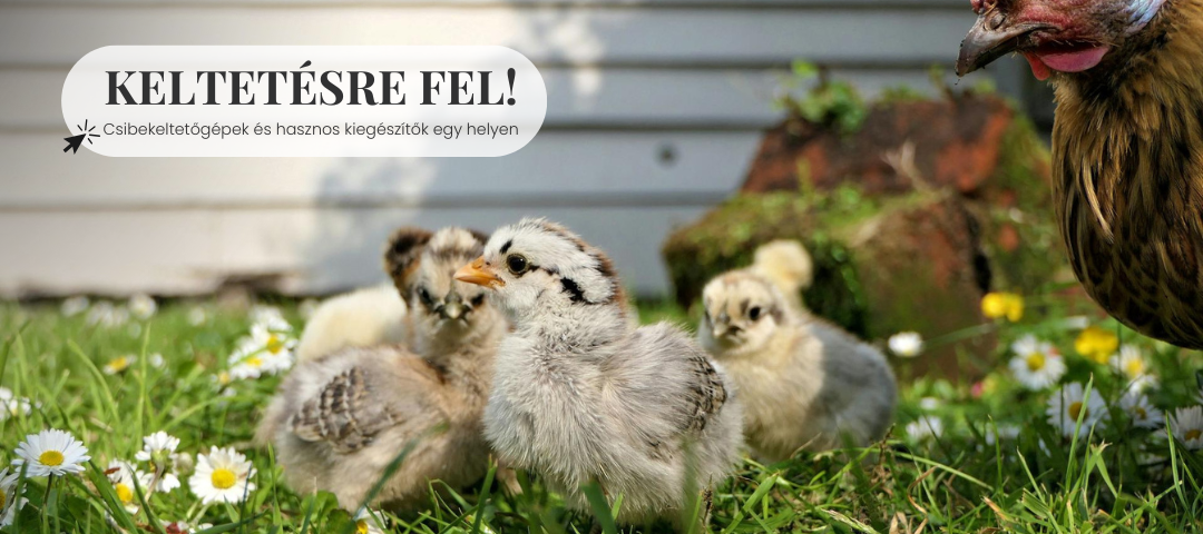 www.delifarm.hu