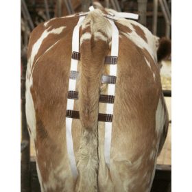 Méhelőesés elleni hám teheneknek - bőr béléssel