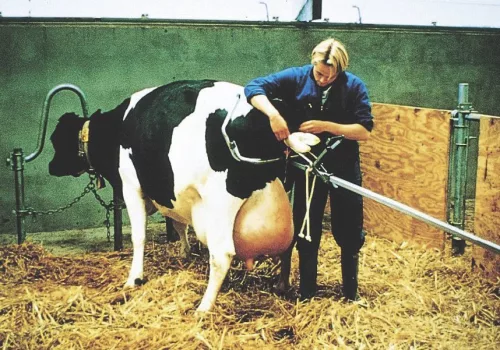 VINK ellető készülék - 160 cm, egyirányú húzású