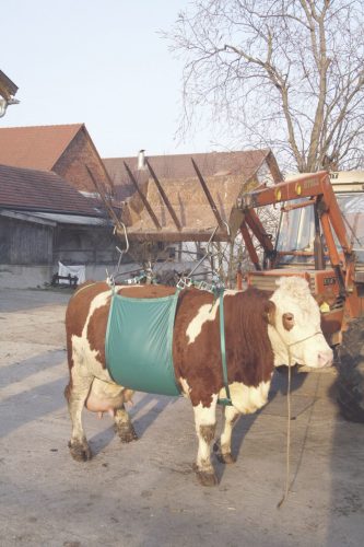 Hevederes állatemelő