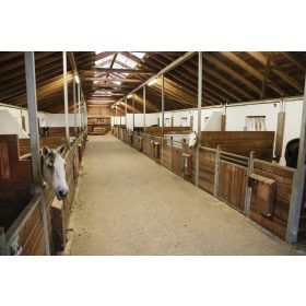 IPCam istállókamera 360 RC/HD