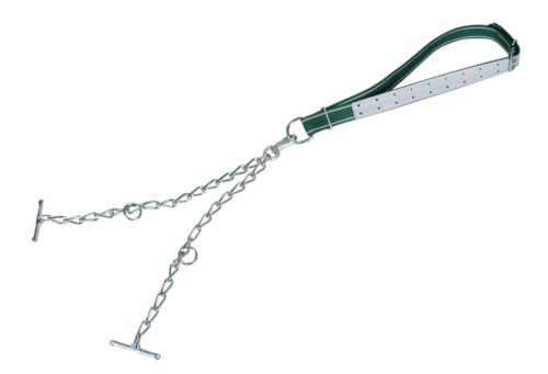 Növendék bika kikötő nyakpánt - 150 x 5 cm, kettős lánccal, forgóval és D-gyűrűvel, 6 mm, standard minőség