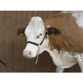 Kötőfék szarvasmarhának láncos vezetőszárral - fekete