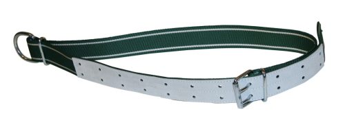 Növendék bika kikötő nyakpánt - 150 x 5 cm, ovál-taggal és D- gyűrűvel, standard minőség