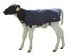 EasyWear borjútakaró - 70 cm