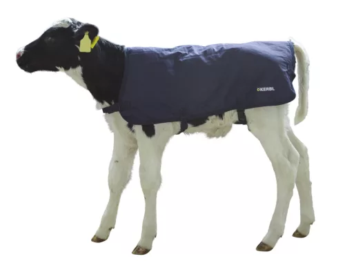 EasyWear borjútakaró - 70 cm