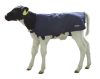 EasyWear borjútakaró - 80 cm