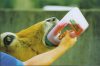 Easy drencser - 1,2 literes
