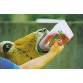 Easy drencser - 1,2 literes