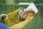 Easy drencser - 1,2 literes