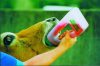 Easy drencser - 1,2 literes