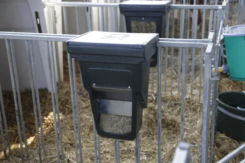 Abrak etetőbox borjúház kerítéshez