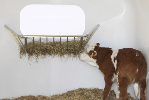 Horganyzott szénarács CalfHouse Premium 4/5 borjúházhoz - nagy