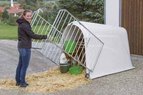 CalfHouse Premium Plus borjúház - könnyű kerítéssel