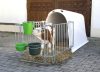 CalfHouse Premium Plus borjúház - könnyű kerítéssel