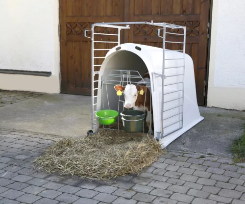CalfHouse Premium Plus borjúház - könnyű kerítéssel