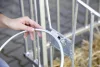 Könnyű kerítés CalfHouse Premium és Master Plus borjúházhoz
