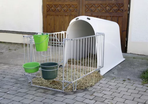 CalfHouse Master Plus borjúház - nehéz kerítéssel