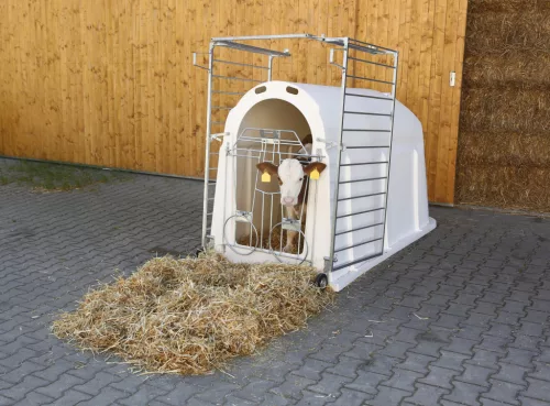 CalfHouse PE UV+ borjúház - könnyű kerítéssel
