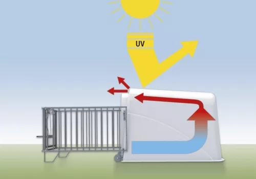 CalfHouse PE UV+ borjúház - könnyű kerítéssel
