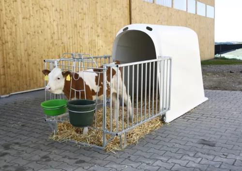 CalfHouse Premium Plus borjúház könnyű kerítéssel