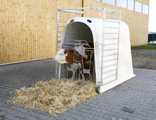 CalfHouse Premium Plus borjúház könnyű kerítéssel
