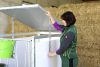 PVC oldalfal panel borjúboxhoz - 165 cm
