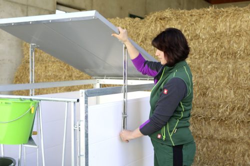 PVC oldalfal panel borjúboxhoz - 165 cm