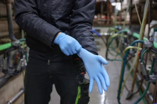 Nitrile Top Pro allergén anyagoktól mentes kesztyű - M, 100 db/doboz