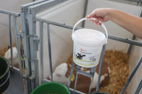 Globigen Colostrum - 1kg