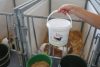 Globigen Dia Stop - 2 kg