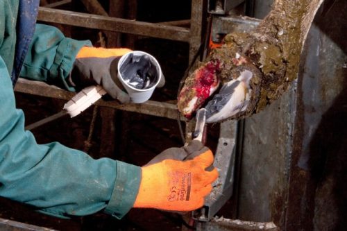 Technovit pataragasztó készlet - 12 darabos