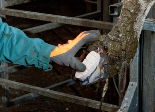 Technovit pataragasztó készlet - 12 darabos