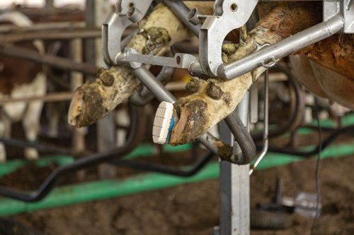 Technobase 2CB pataragasztó - 200 ml