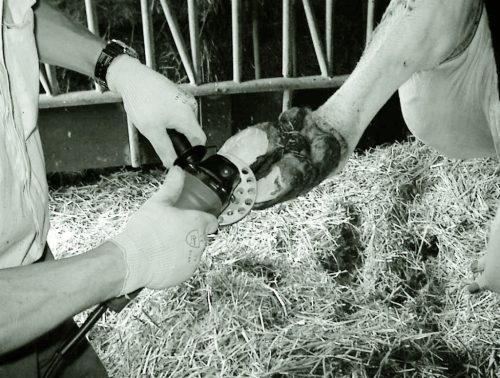 Profi patafaragó korong - 3 késes, alu, 120 mm