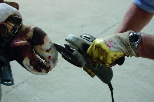 Patacsiszoló korong - fém, 125 mm