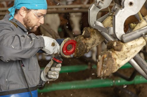 P6 csülökvágó korong - 6 késes, 105 mm