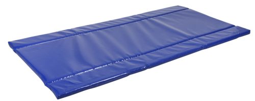 Standard fertőtlenítő szőnyeg - 180 x 90 x 4 cm