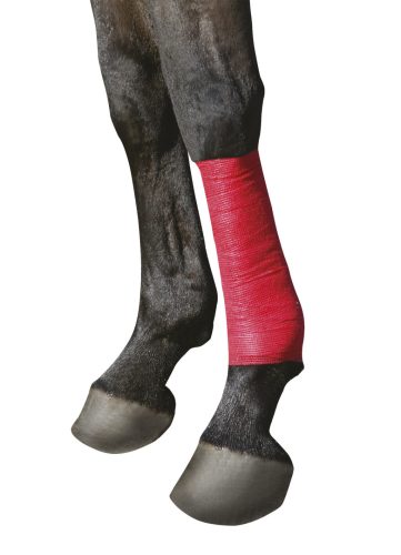 EquiLastic öntapadó fásli - piros, 10 cm