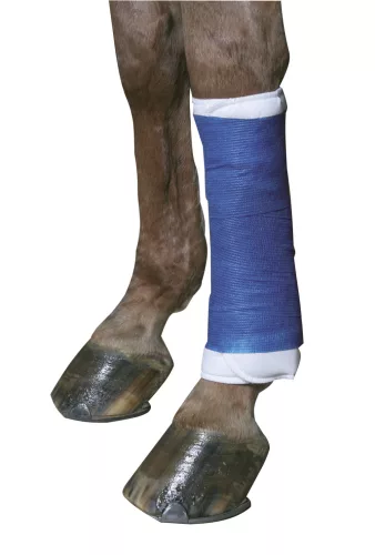 EquiLastic öntapadó fásli - kék, 10 cm