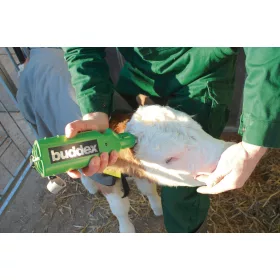 Buddex elektromos szarvtalanító - elemes