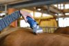 FarmClipper lónyírógép - 2 akkumlátorral, 31 / 15 fogas