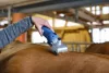FarmClipper lónyírógép - 2 akkumlátorral, 31 / 15 fogas
