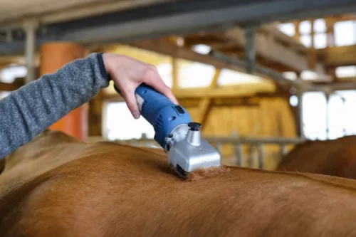 FarmClipper lónyírógép - 2 akkumlátorral, 31 / 15 fogas