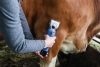 FarmClipper lónyírógép - 2 akkumlátorral, 31 / 15 fogas