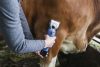 FarmClipper szarvasmarha nyírógép - 2 akkumlátorral, 21 / 23 fogas