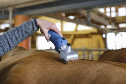 FarmClipper szarvasmarha nyírógép - 2 akkumlátorral, 21 / 23 fogas