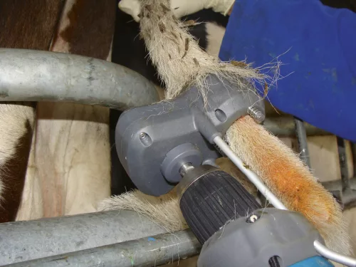 TailWell2 Power farok trimmelő