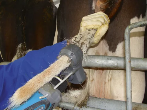 TailWell2 Power farok trimmelő