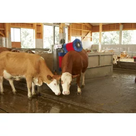 Happycow Duo szarvasmarhatisztító gép